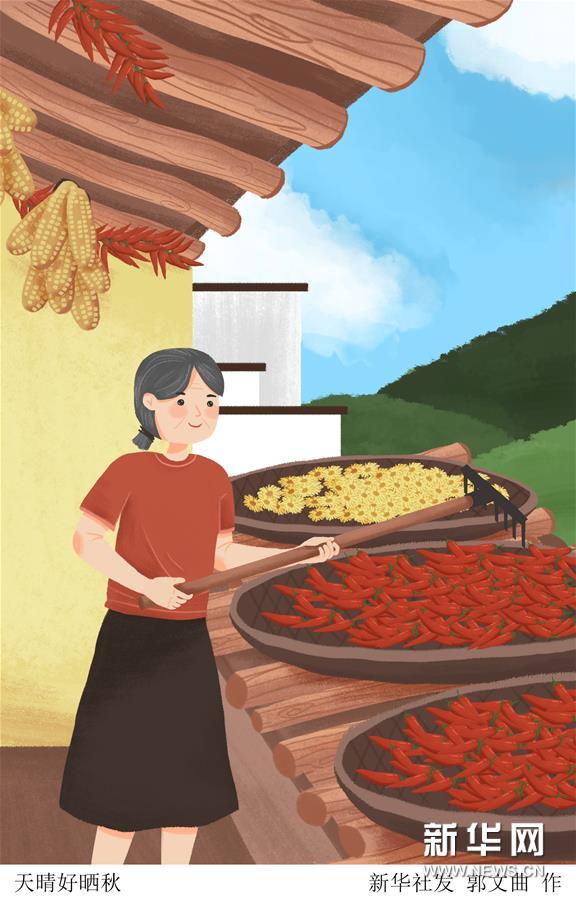 （圖表&middot;插畫(huà)）［二十四節(jié)氣&middot;立秋］天晴好曬秋