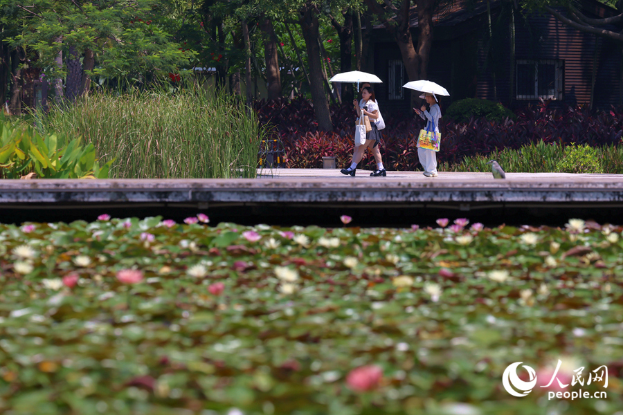 市民游客漫步于蓮池廊道。人民網(wǎng)記者 陳博攝