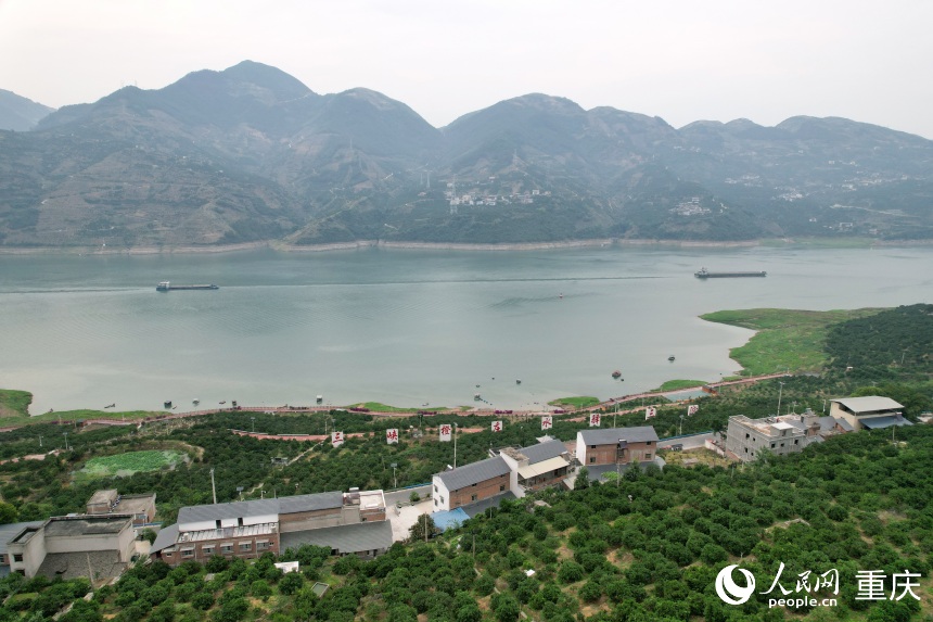 三沱村正以“三峽橙莊”建設(shè)為契機，描繪鄉(xiāng)村振興新圖景。人民網(wǎng)記者 劉政寧攝