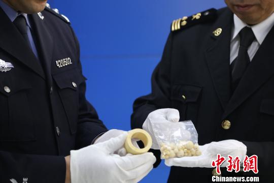 海關(guān)工作人員查獲象牙制品?！□U曉康 攝