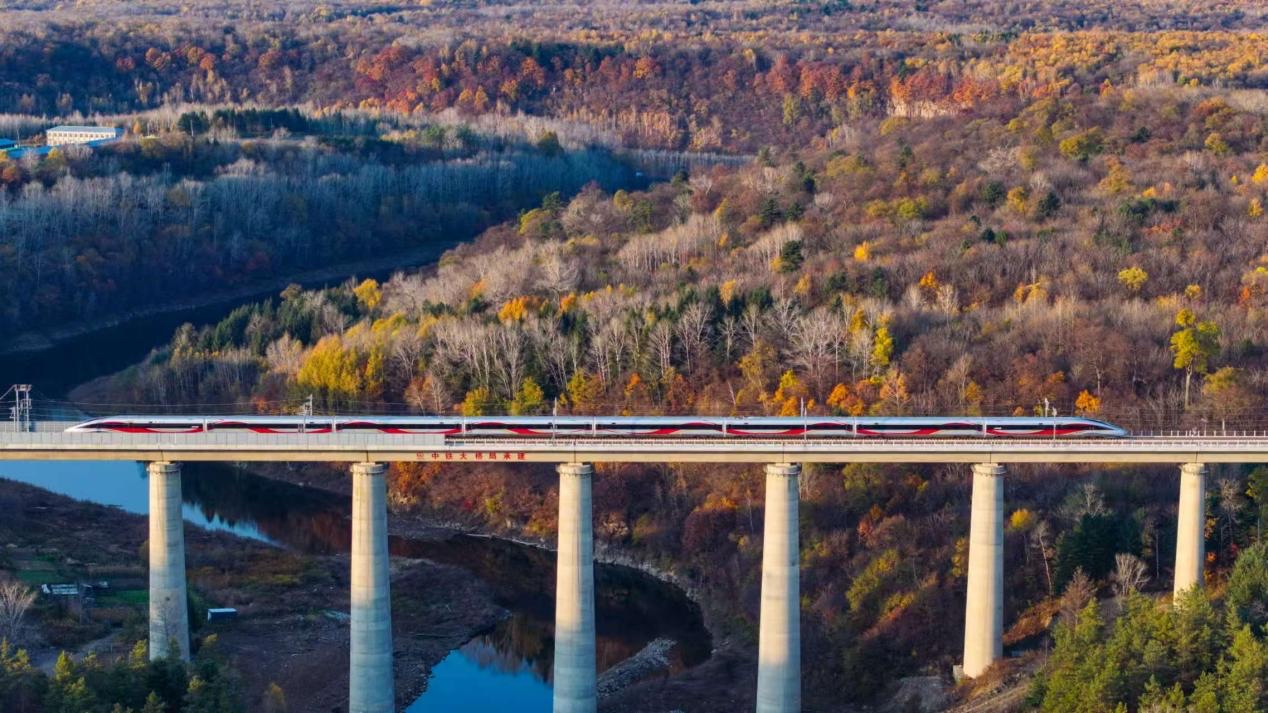 沈白高鐵正式開通運(yùn)營(yíng)。受訪方供圖